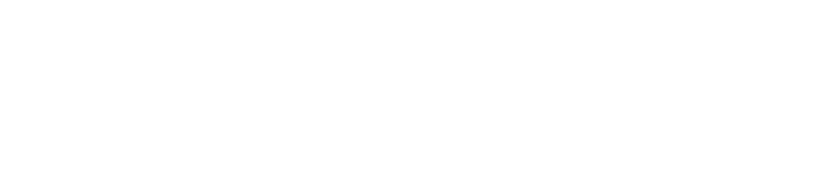 Goflex Young Professionals B.V.