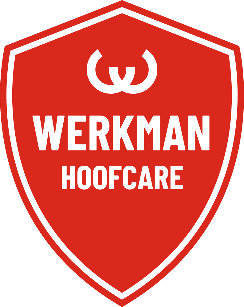 Werkman Hoofcare